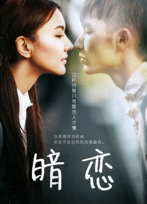 马切拉塔美术学院公共管理文凭证书